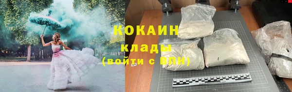 соль ск Каменногорск