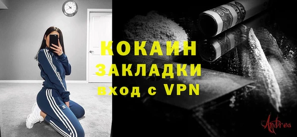 дурь Каменка