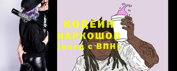 соль ск Каменногорск