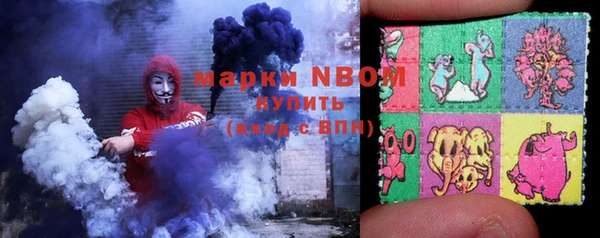 дурь Каменка