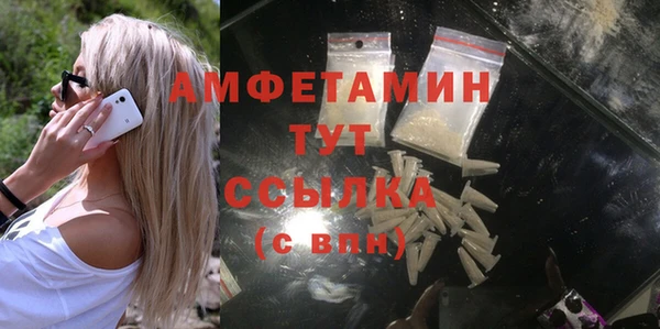 дурь Каменка