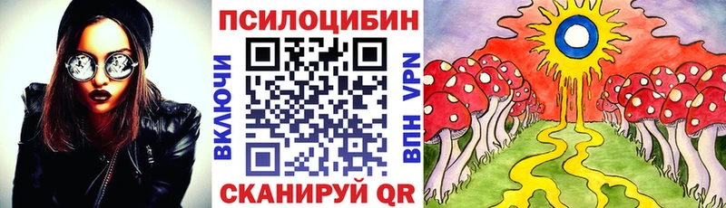 Галлюциногенные грибы Magic Shrooms  Купить  Горбатов 